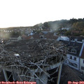 20_05-nest.jpg