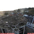 20_10-nest.jpg