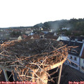 06_35-nest.jpg