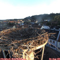 06_45-nest.jpg