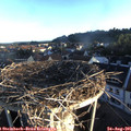 07_00-nest.jpg