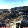 07_10-nest.jpg
