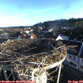 07_15-nest.jpg