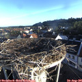 07_20-nest.jpg