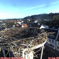 07_25-nest.jpg
