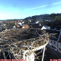 07_30-nest.jpg