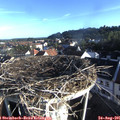 07_40-nest.jpg
