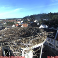 07_55-nest.jpg