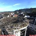 08_00-nest.jpg