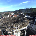 08_05-nest.jpg