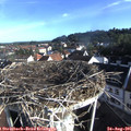 08_10-nest.jpg