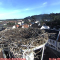 08_15-nest.jpg