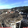 08_25-nest.jpg