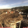 08_35-nest.jpg