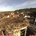 08_55-nest.jpg