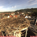 09_15-nest.jpg