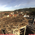 09_20-nest.jpg