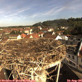 09_25-nest.jpg