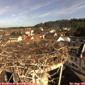 09_30-nest.jpg