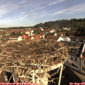 09_35-nest.jpg