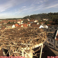 09_40-nest.jpg
