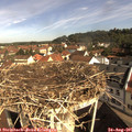 09_45-nest.jpg