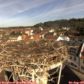 09_50-nest.jpg