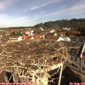09_55-nest.jpg