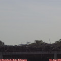 10_00-mast.jpg