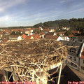 10_05-nest.jpg