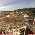10_20-nest.jpg
