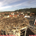 10_25-nest.jpg