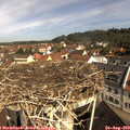 10_30-nest.jpg