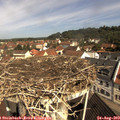 10_35-nest.jpg
