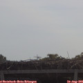10_40-mast.jpg