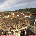 10_40-nest.jpg