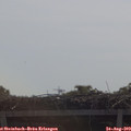 10_45-mast.jpg