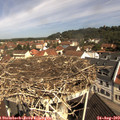 10_45-nest.jpg