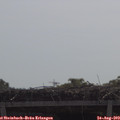 10_50-mast.jpg