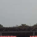 11_00-mast.jpg