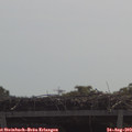 11_05-mast.jpg