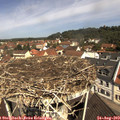 11_10-nest.jpg