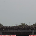 11_20-mast.jpg
