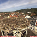 11_20-nest.jpg