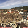 11_25-nest.jpg