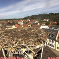 11_30-nest.jpg