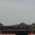11_50-mast.jpg