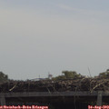 11_55-mast.jpg