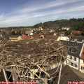 11_55-nest.jpg