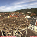 12_00-nest.jpg